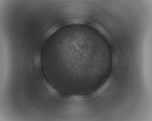 X0000113940977200910091619