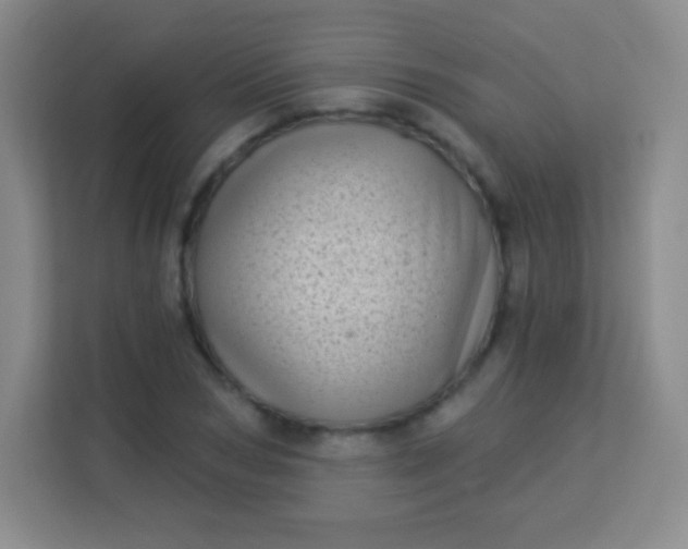 X0000113940978200910091619