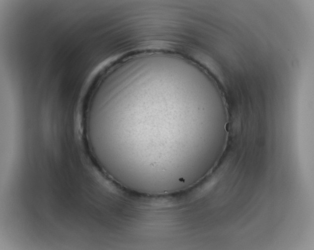 X0000113940979200910091619