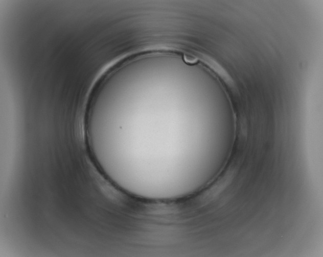 X0000113940980200910091619