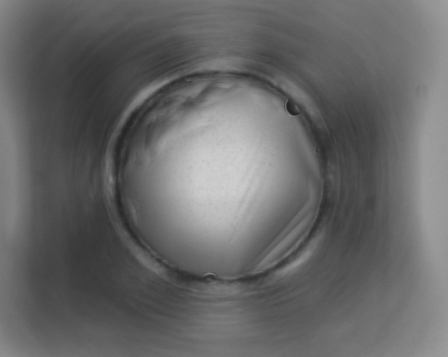 X0000113940981200910091619