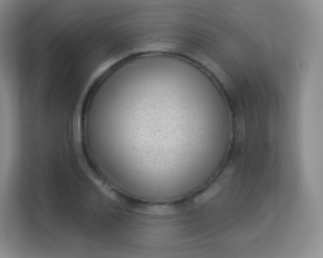 X0000113940982200910091619