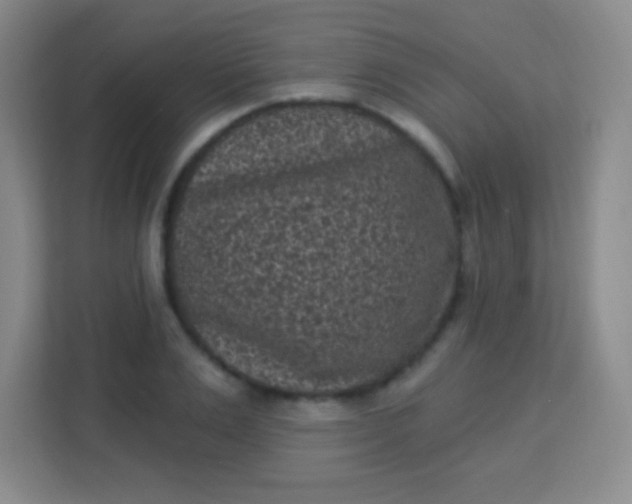 X0000113940983200910091619