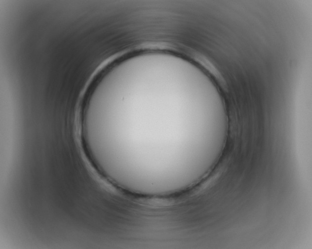 X0000113940984200910091619