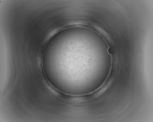 X0000113940985200910091619