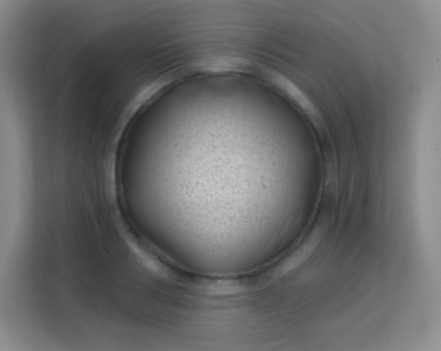 X0000113940986200910091619