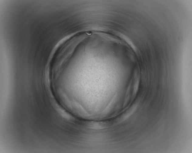 X0000113940987200910091619