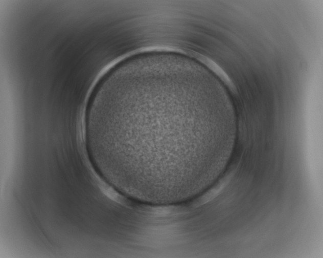 X0000113940988200910091619