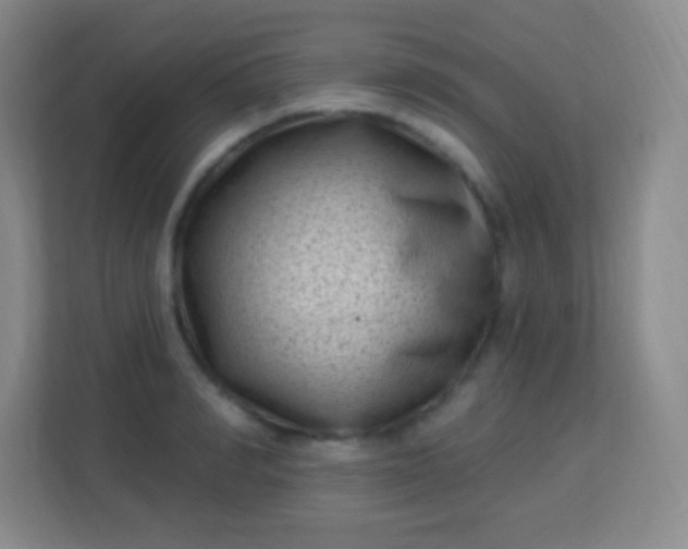 X0000113940990200910091619