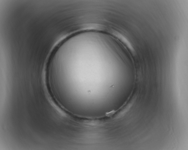 X0000113940991200910091619