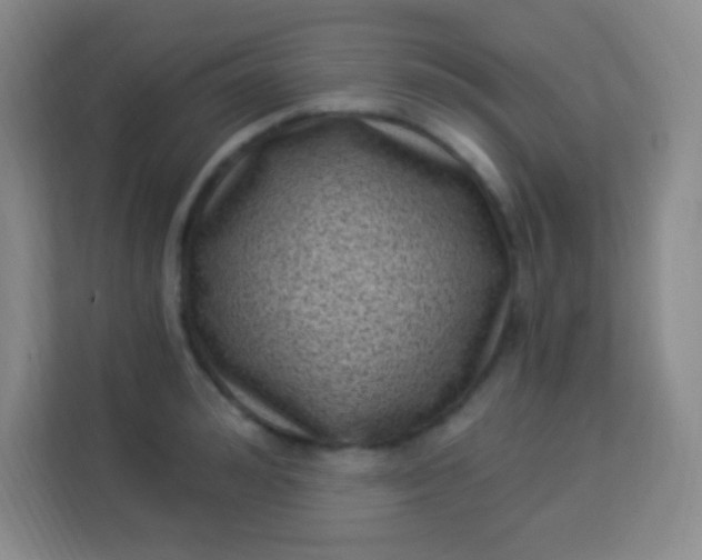 X0000113940992200910091619