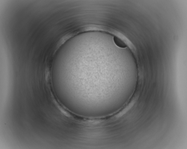 X0000113940993200910091619