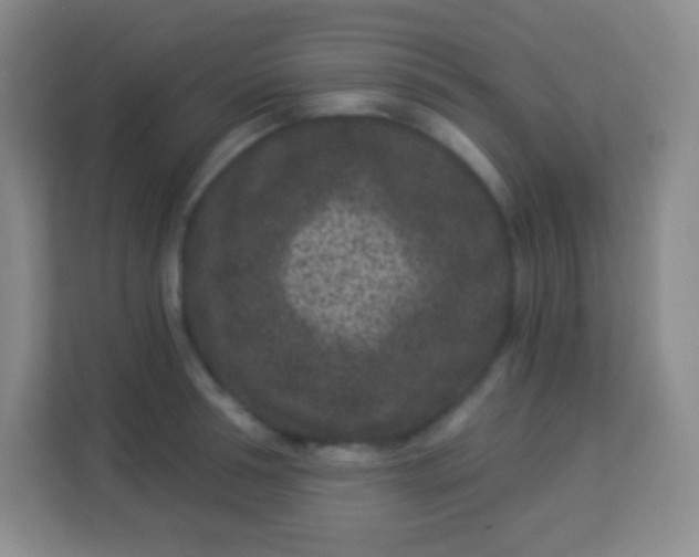 X0000113940994200910091619