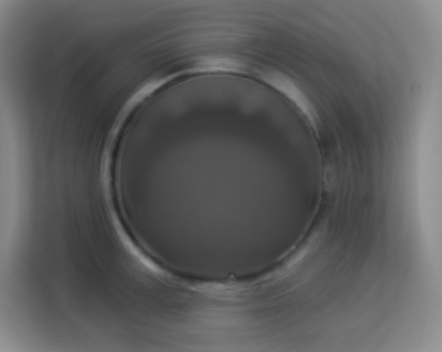 X0000113940995200910091619