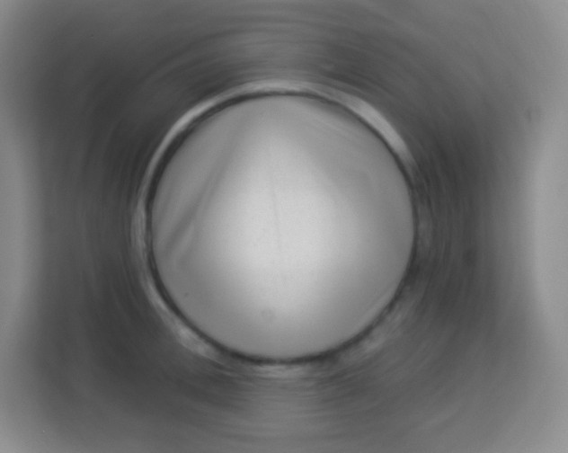 X0000113940996200910091619