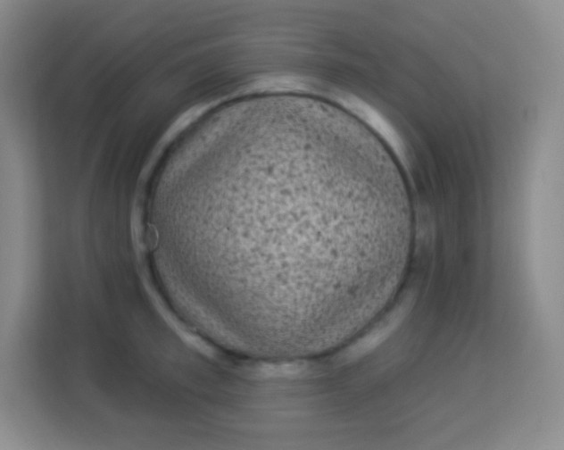 X0000113940997200910091619