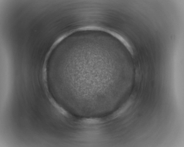 X0000113940998200910091619