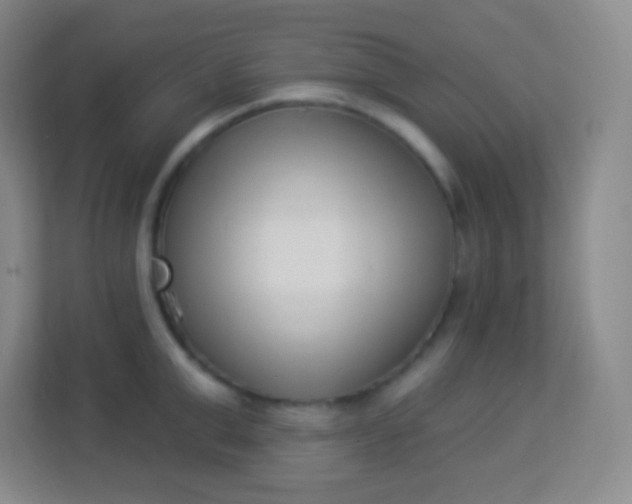 X0000113940999200910091619