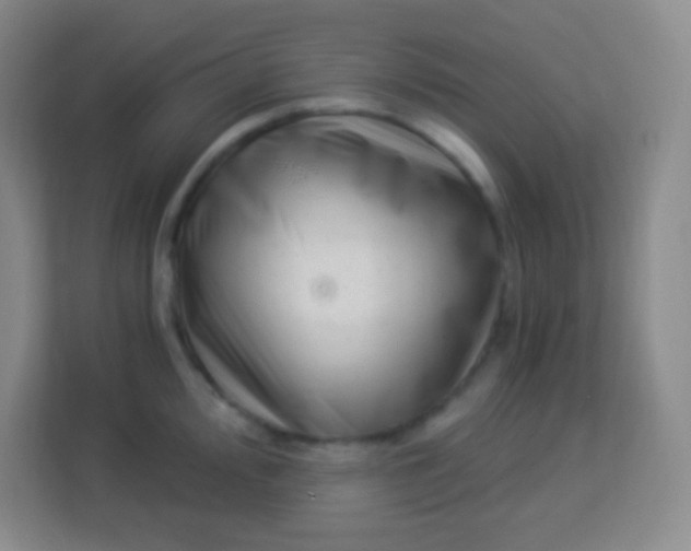 X0000113941000200910091619