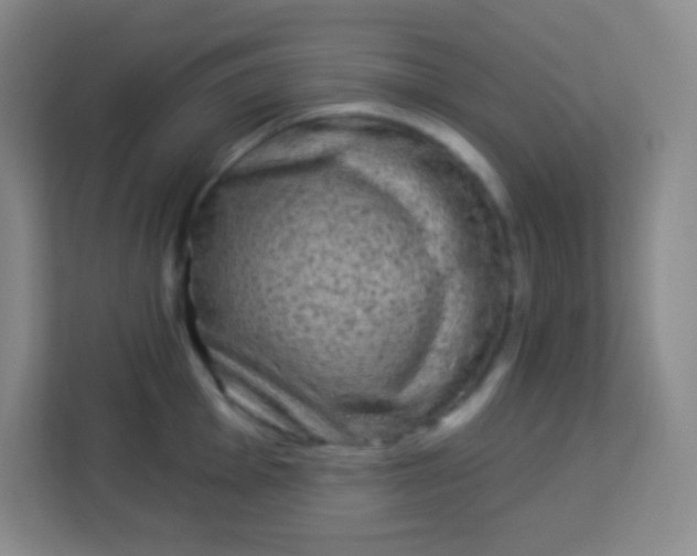 X0000113941001200910091619