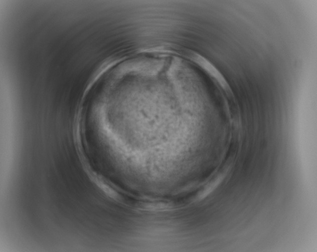 X0000113941002200910091619