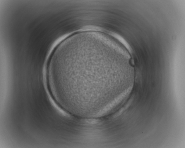 X0000113941003200910091619