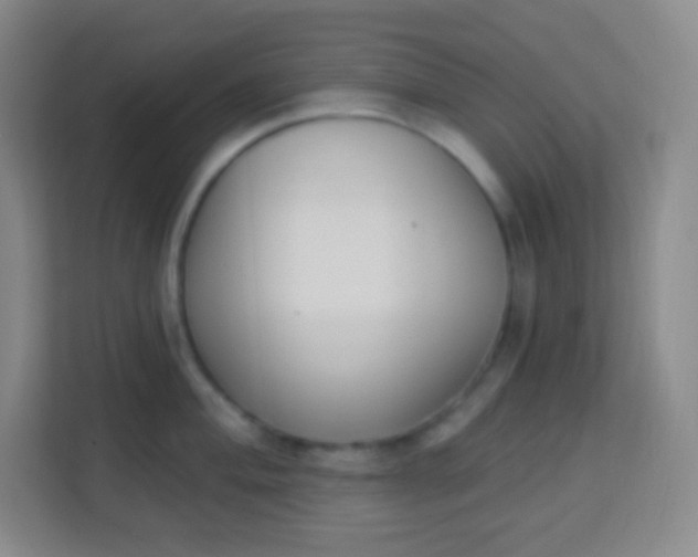 X0000113941004200910091619