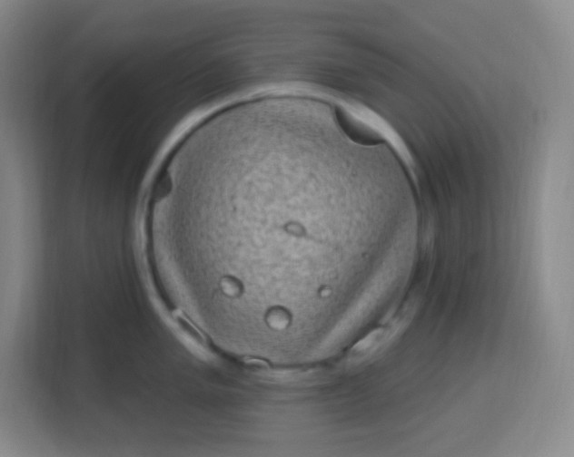 X0000113941005200910091619