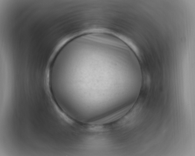 X0000113941006200910091619