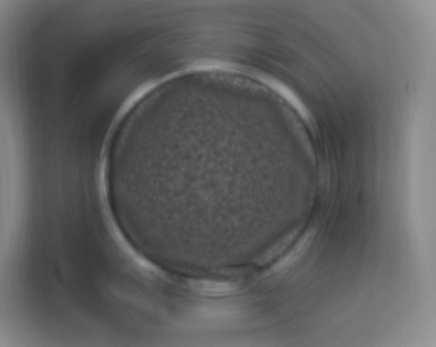 X0000113941007200910091619