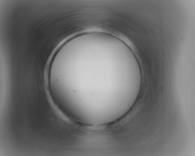 X0000113941008200910091619