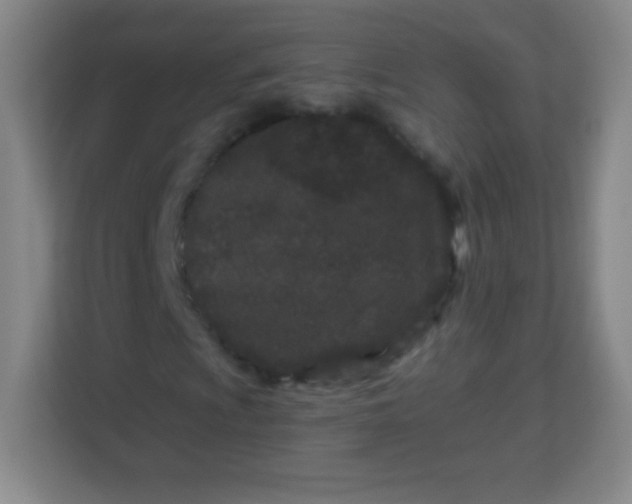 X0000113941009200910091618