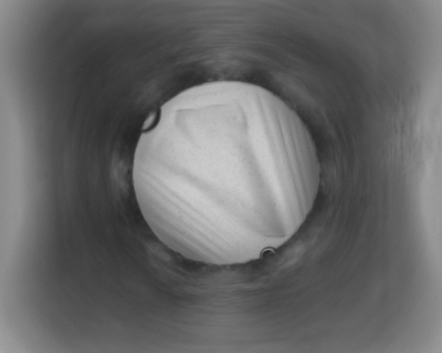 X0000113941010200910091618