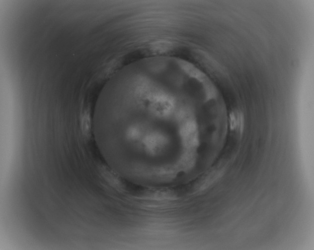 X0000113941011200910091618