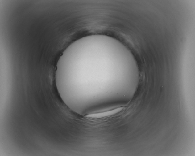 X0000113941012200910091618