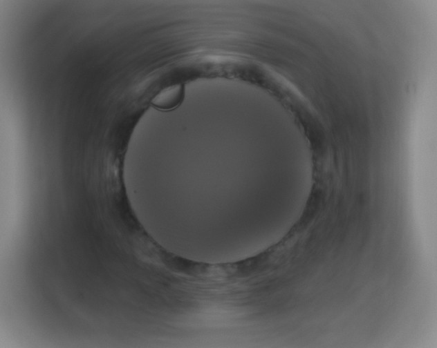 X0000113941013200910091618