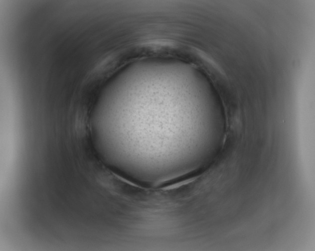 X0000113941014200910091618