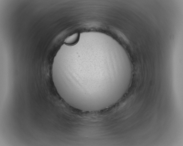 X0000113941016200910091618