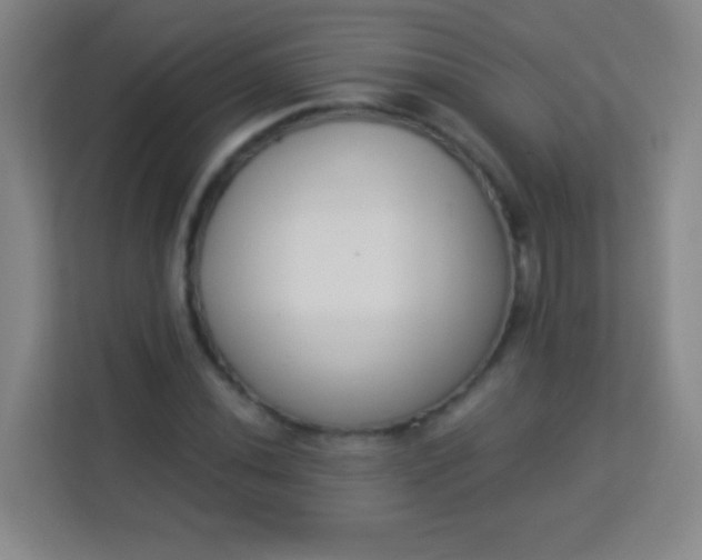 X0000113941020200910091618