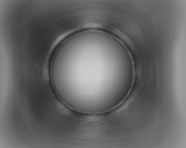 X0000113941022200910091618