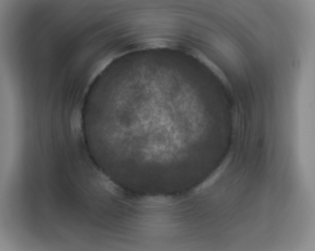 X0000113941023200910091618