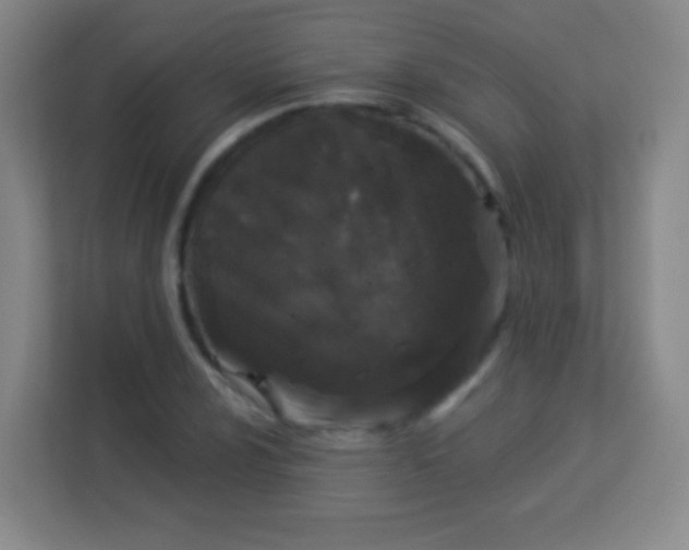 X0000113941024200910091618