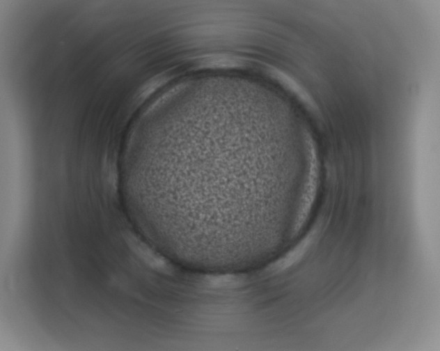 X0000113941025200910091618