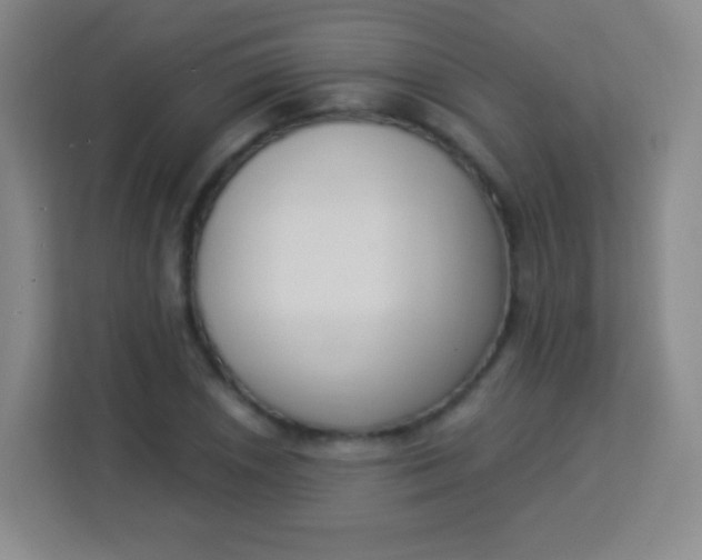 X0000113941026200910091618