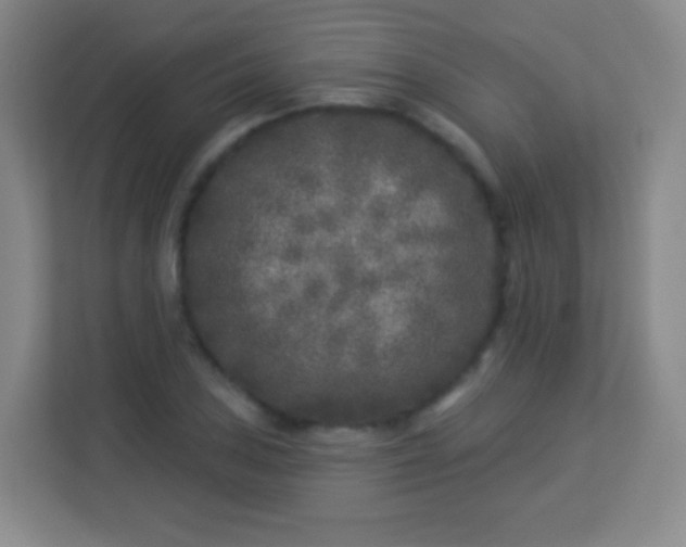 X0000113941027200910091618