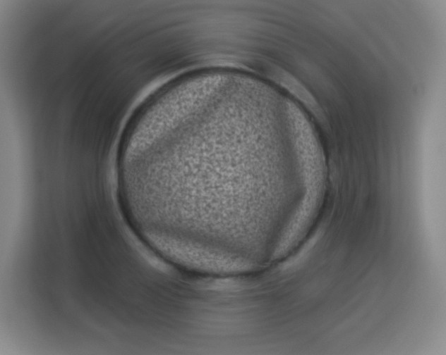 X0000113941028200910091618