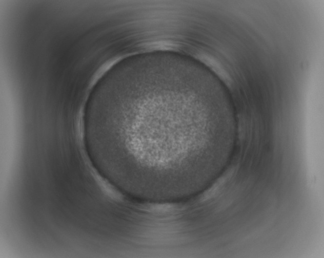 X0000113941031200910091618