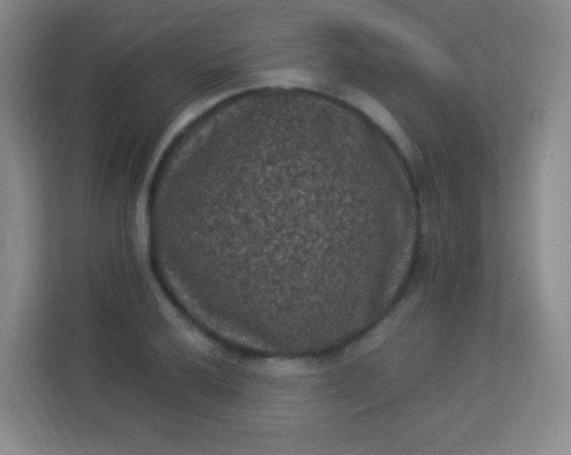 X0000113941032200910091618