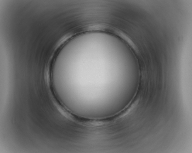 X0000113941034200910091618