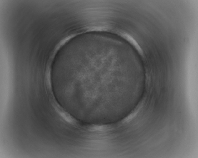 X0000113941035200910091618